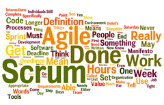 You Aren't Doing Scrum If...