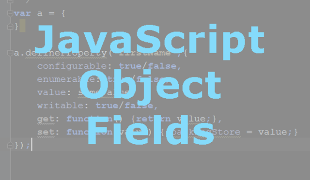 JavaScript Fields